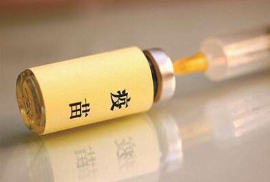 疫苗事务冲破品德底线 ,金易贴金专一贴金20年，倾情为民
